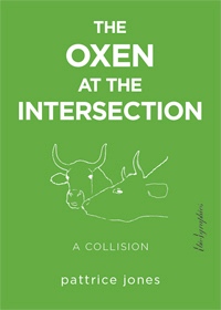 oxen at the intersection